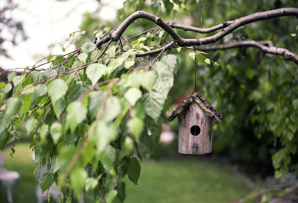 Couper des branches pour mieux se réunir